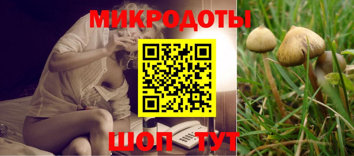 Ростов Великий  Галлюциногенные грибы Magic Shrooms  Галлюциногенные грибы Psilocybe  Вход с VPN 
